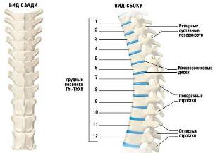 servikal osteokondrozis